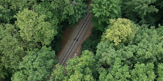 Από το Βέρμιο στη Μέση Ανατολή: Στα ίχνη του τρένου Decauville