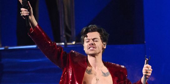Στο χωριό του Harry Styles αναζητούν ξεναγούς