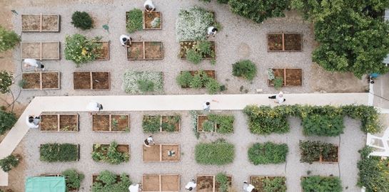 Alepochori Experience, με την υπογραφή του Τάσου Μαντή του πολυβραβευμένου Soil