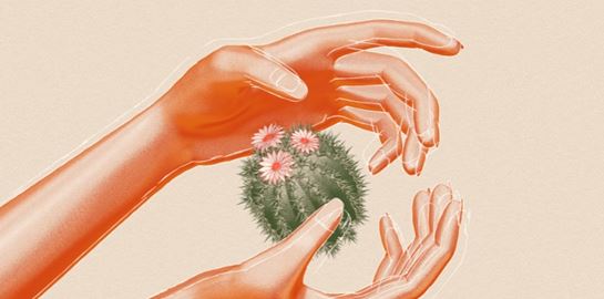 OpenSea: Η πλατφόρμα-επανάσταση των NFTs ή μία φούσκα;