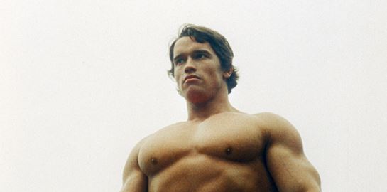 Οι καλύτερες ταινίες του Arnold Schwarzeneggeμέσα από τα μάτια του Sylvester Stallone