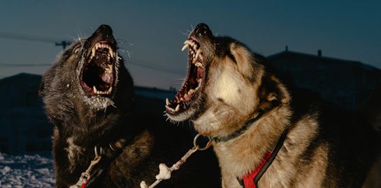 Εικόνες από τη ζωή στην πιο απομακρυσμένη πόλη της Αλάσκα