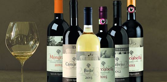 Μπορεί ένα κρασί να είναι vegan;