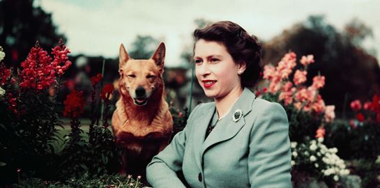 Μερικά πράγματα που ίσως δεν γνώριζες για την βασίλισσα Ελισάβετ