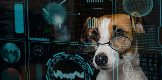 Tι μπορεί να κάνει το ChatGPT για το κατοικίδιό σου