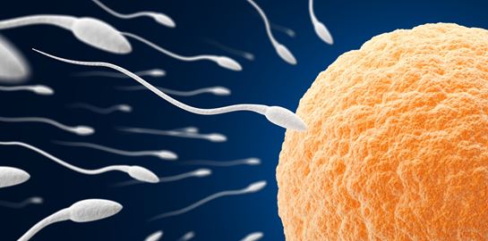 Γιατί η κατάψυξη ωαρίων είναι πιο δημοφιλής από ποτέ;