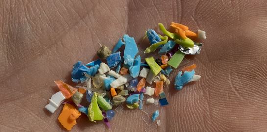 Μικροπλαστικά βρέθηκαν σε αντρικά γεννητικά όργανα και δυστυχώς δεν είναι πλάκα