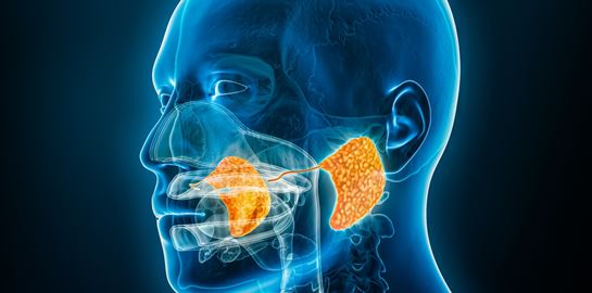 Σιελογόνοι αδένες: Παθήσεις και αντιμετώπιση