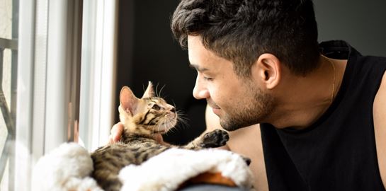 Πώς να μιλήσεις στη γάτα σου σύμφωνα με την επιστήμη