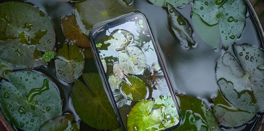 Οδηγός για αγορά μεταχειρισμένου κινητού και tablet: Πώς να μην την πατήσεις