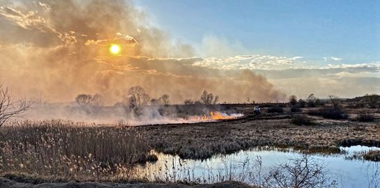 Ηφαίστεια, πυρκαγιές, ραδιενέργεια και ακρίδες