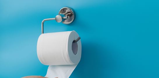 Σε ποιες χώρες επιτρέπεται να πετάς το χαρτί υγείας μέσα στη λεκάνη;