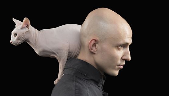 Βρέθηκε το φάρμακο κατά της φαλάκρας;