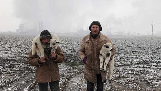 Οι καλύτερες φωτογραφίες που τραβήχτηκαν με iPhone το 2021