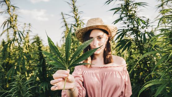 Η χρήση κάνναβης και η σχέση της με τον δείκτη νοημοσύνης