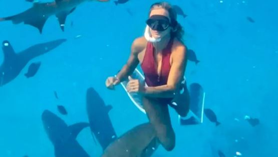 Εκατομμύρια άνθρωποι είδαν τον καρχαρία που δάγκωσε influencer (video)