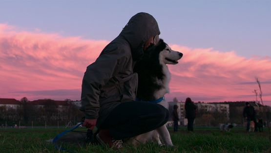 Dogs: Η νέα σειρά του Netflix δείχνει πώς τα σκυλιά σε κάνουν καλύτερο άνθρωπο