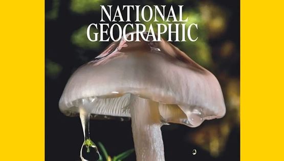 Ένας Έλληνας φωτογράφος στο εξώφυλλο του περιοδικού National Geographic