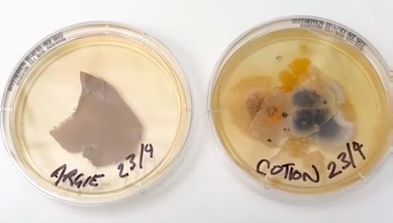 Άπλυτη μαξιλαροθήκη vs κάθισμα τουαλέτας: Πού κατοικούν περισσότερα βακτήρια;
