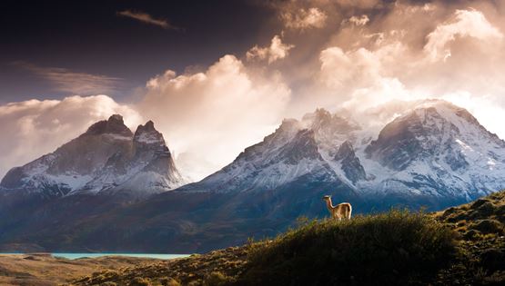 Στις άγριες στέπες, στις παγωμένες λίμνες και στα καταπράσινα λιβάδια της Χιλής