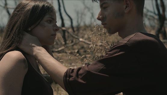 &quot;Το τελευταίο δέντρο&quot;: Μία ταινία μικρού μήκους για την τραγωδία στο Μάτι