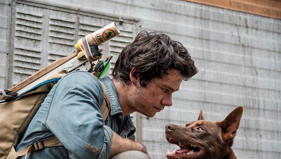 Οι καλύτερες ταινίες του Netflix αυτή τη στιγμή