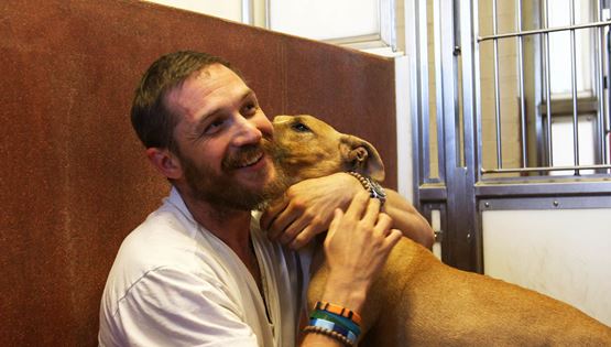 Τα σκυλιά σε κάνουν πιο χαρούμενο, πιο υγιή και πιο fit