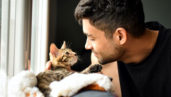 Τα κατοικίδια ωφελούν σοβαρά την υγεία