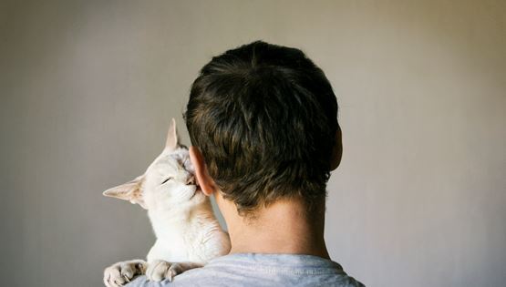 Kama muta, το νέο συναίσθημα που περιέγραψαν για πρώτη φορά οι επιστήμονες