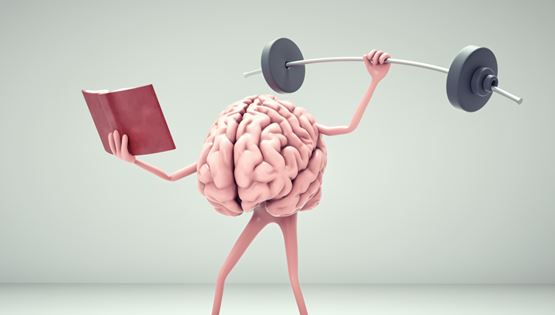 Τι ακριβώς συμβαίνει στον εγκέφαλο όταν διαβάζουμε