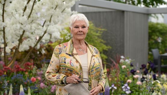 Όταν η Judi Dench τραγούδησε Abba