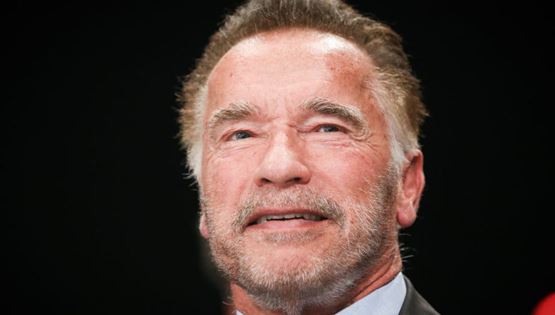 Εν τω μεταξύ, κάποιος επιτέθηκε με εναέρια κλωτσιά στον Arnold Schwarzenegger