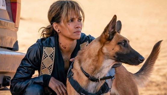 Πόσο ακριβείς είναι οι σκυλομαχίες στο John Wick 3 ;