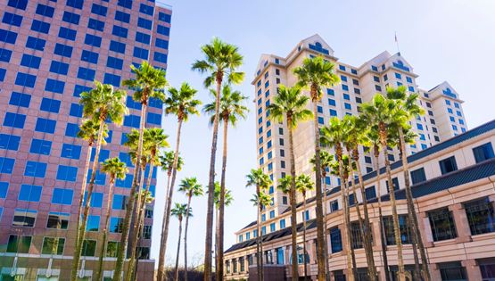 Η επόμενη Silicon Valley θα είναι στο Μαϊάμι