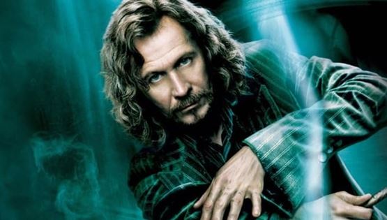 Ο Gary Oldman πιστεύει ότι η ερμηνεία του στις ταινίες Harry Potter ήταν 'μέτρια'