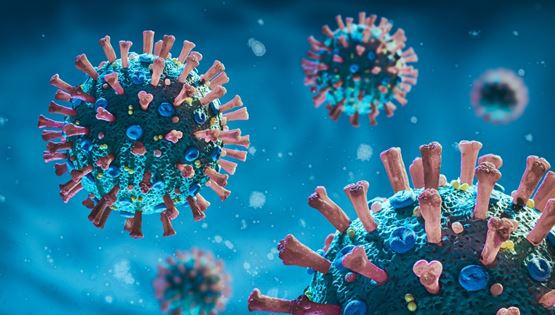 Τι είναι ο παρβοϊός;