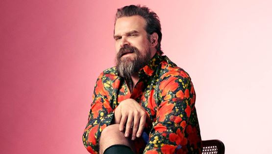 Το προσωπικό ταξίδι του David Harbour στο Upside Down