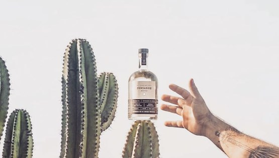 Τα mezcals του φθινοπώρου