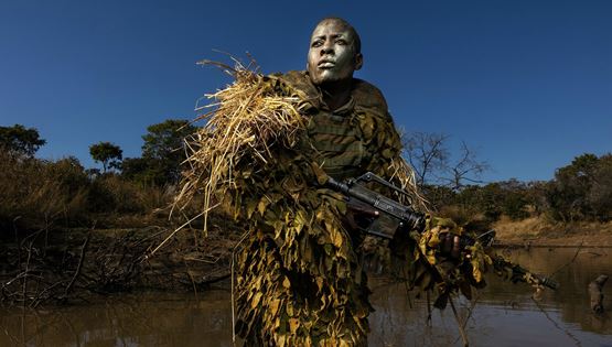 Οι καλύτερες φωτογραφίες του 2019