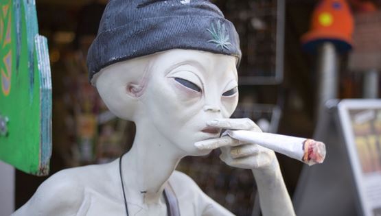 Το Άμστερνταμ ίσως να απαγορεύσει την κάνναβη στους τουρίστες