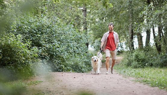 Καλό θα είναι να προσέχεις διπλά όταν μαζεύεις τα κακά του σκύλου σου