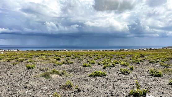 ΟΕΝΟ Π, ένας μοναδικός έρωτας για το κρασί που έγινε θαυμάσιο οινοποιείο