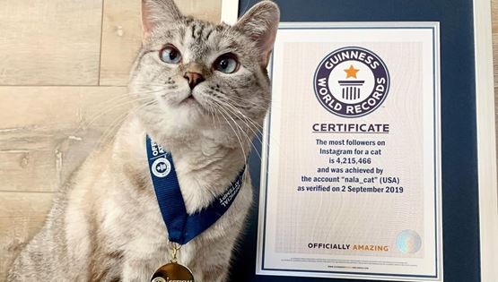 Αυτή είναι η πιο πλούσια γάτα στον κόσμο - Πόση είναι η περιουσία της