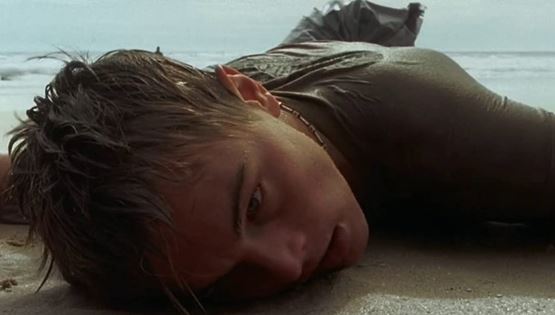 Η 20th Century Fox πληρώνει την οικολογική καταστροφή της 'Παραλίας' 2 δεκαετίες μετά