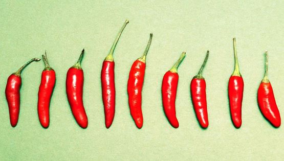 Αυτές οι τροφές μπουστάρουν τον μεταβολισμό