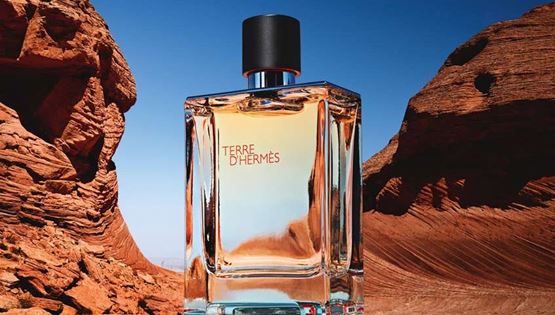 5 ξυλώδη αρώματα για το φθινόπωρο