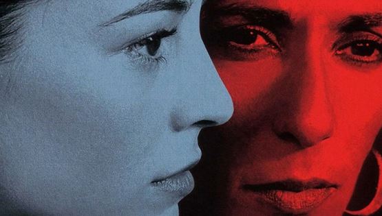 Ταινίες που προτείνει το Harvard για να διευρύνεις τους κινηματογραφικούς σου ορίζοντες