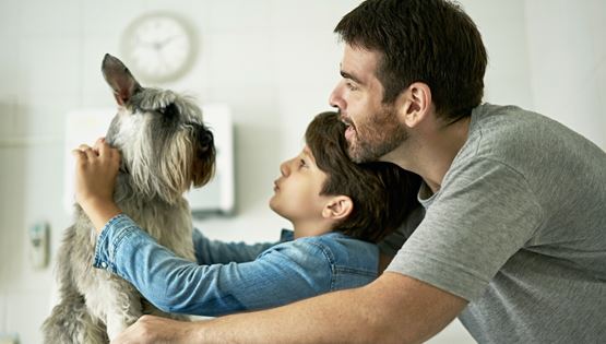 Αυτές είναι οι ράτσες σκύλων που ζουν περισσότερο