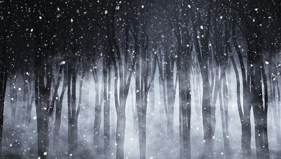 Ακόμη και τα Χριστούγεννα, γίνονται εγκλήματα