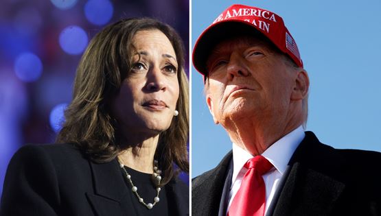 Αμερικανικές εκλογές: Μια εκλογική ελεγεία made in USA